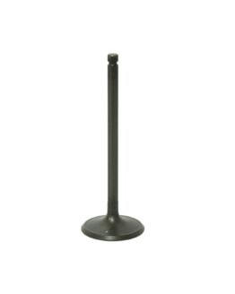 Bronco Intake Valve AU-09194I For Polaris Magnum, Trail Boss, Sportsman