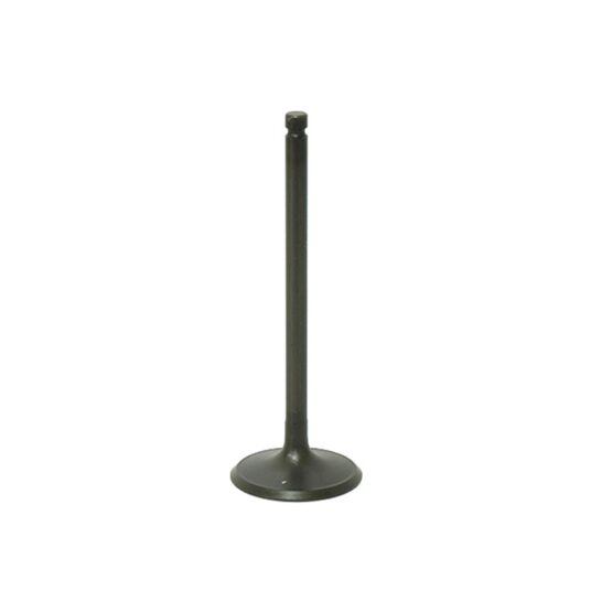 Bronco Intake Valve AU-09194I For Polaris Magnum, Trail Boss, Sportsman