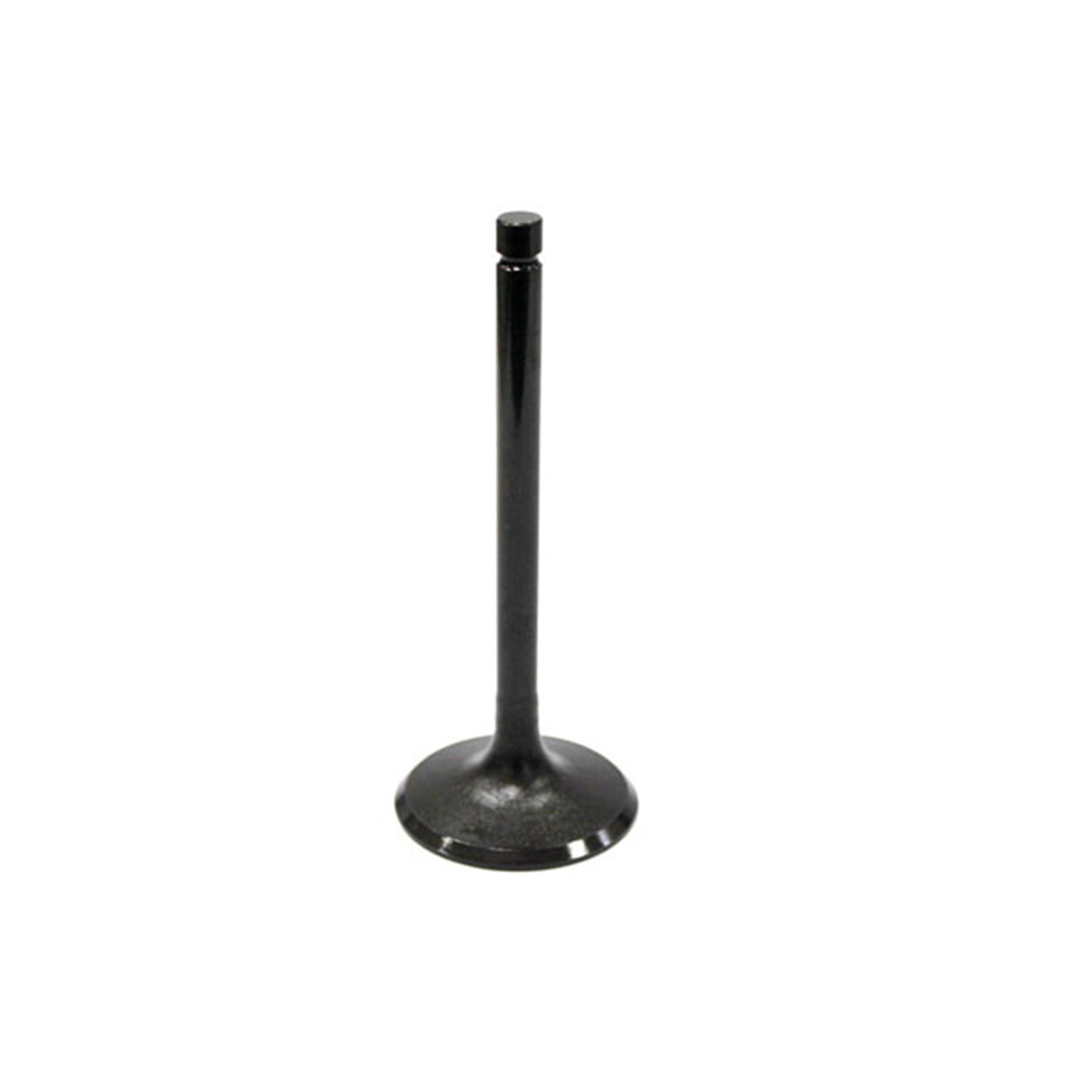 LG1B9141C4-0202-4B02-9E7A-019811EFC52D.jpg