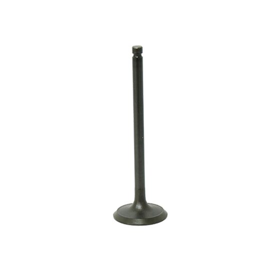 Bronco Exhaust Valve AU-09194E For Polaris ATV Models