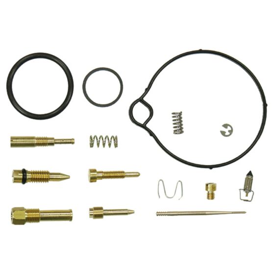 Bronco ATV Carburetor Kit AU-07476