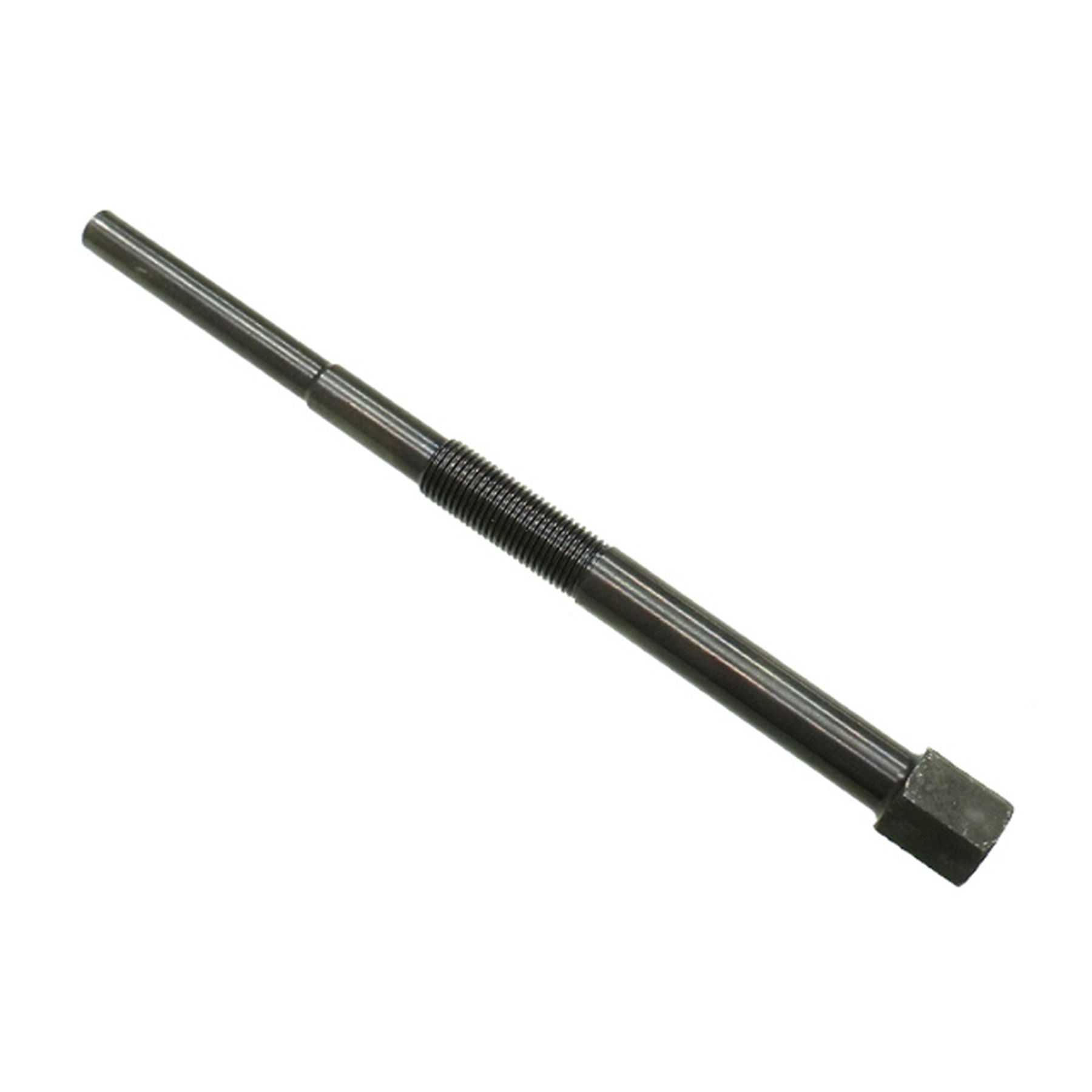LGE7EF8363-3484-47E2-8DE3-B79A61BB8778.jpg