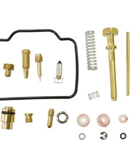 Bronco ATV Carburetor Kit AU-07491