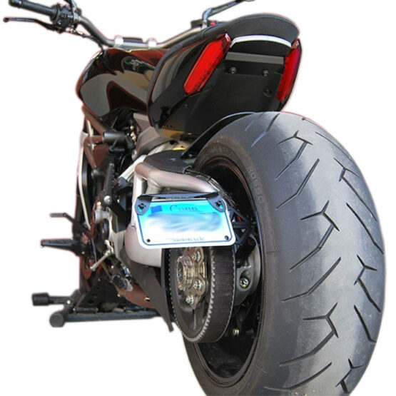 2 Position Side License Plate Mount