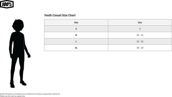 100% Youth Icon Hoody, Heather Gray, Youth XL - Image 3