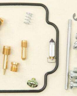 Carburetor Repair Kit