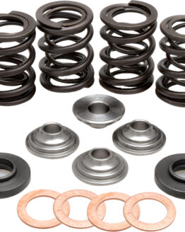 Racing Valve Spring Kit