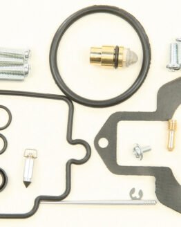 Carburetor Repair Kit
