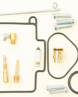 Carburetor Rebuild Kit
