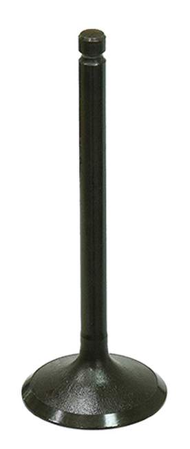 ad0c-5cf1750ac3c22.jpg