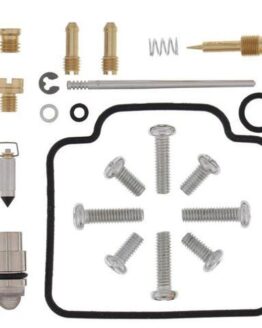 Carburetor Repair Kit