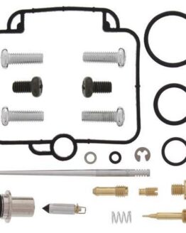 Carburetor Repair Kit