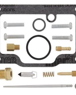 Carburetor Repair Kit