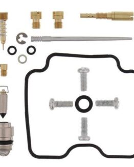 Carburetor Repair Kit