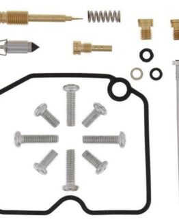 Carburetor Repair Kit