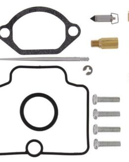 Carburetor Rebuild Kit