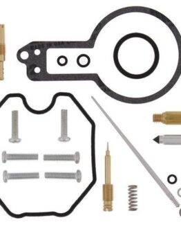 Carburetor Rebuild Kit