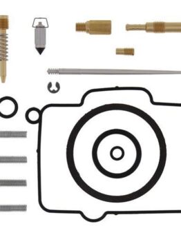 Carburetor Rebuild Kit