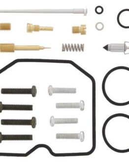 Carburetor Repair Kit