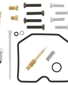 Carburetor Repair Kit