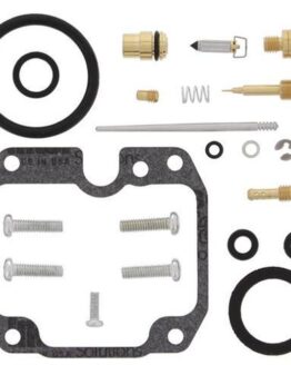 Carburetor Repair Kit