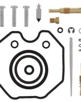Carburetor Repair Kit