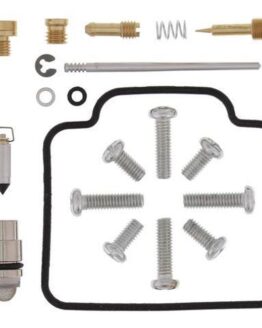 Carburetor Repair Kit