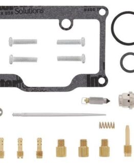 Carburetor Repair Kit