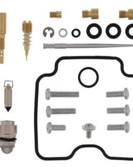 Carburetor Repair Kit