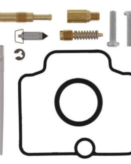 Carburetor Rebuild Kit
