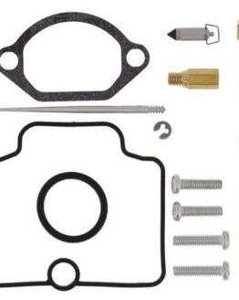 Carburetor Rebuild Kit