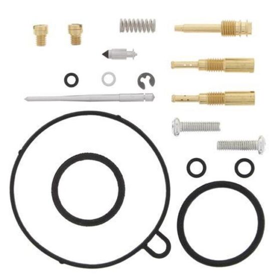Carburetor Rebuild Kit