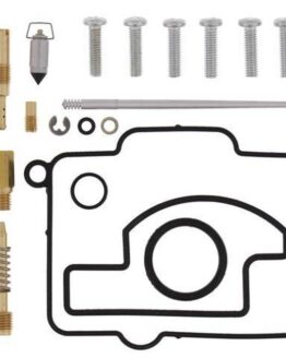 Carburetor Rebuild Kit