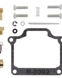 Carburetor Repair Kit