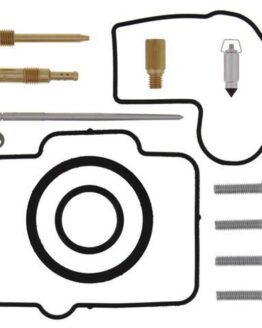 Carburetor Repair Kit
