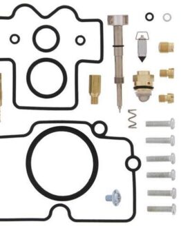 Carburetor Rebuild Kit