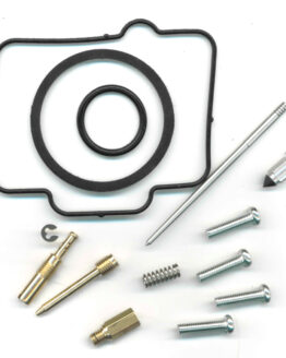 Carburetor Rebuild Kit