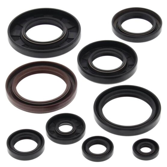 Vertex Engine Oil Seal Kit 822233