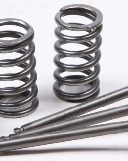 Steel Intake Valve/Spring Kit