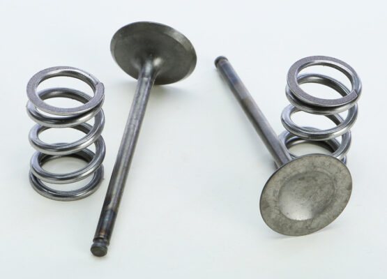 Steel Exhaust Valve/Spring Kit