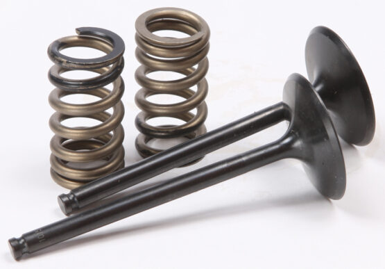 Steel Intake Valve/Spring Kit