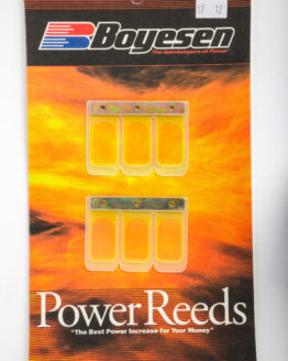 Motorcycle Reeds