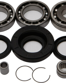 Rear Differential Bearing & Seal Kit