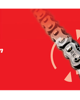 RK Chain 428-100 - Natural