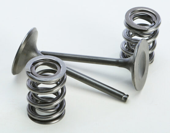 Steel Intake Valve/Spring Kit