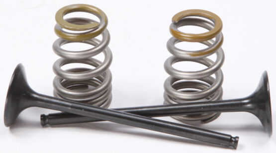 Steel Exhaust Valve/Spring Kit