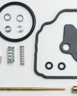 Carburetor Repair Kit