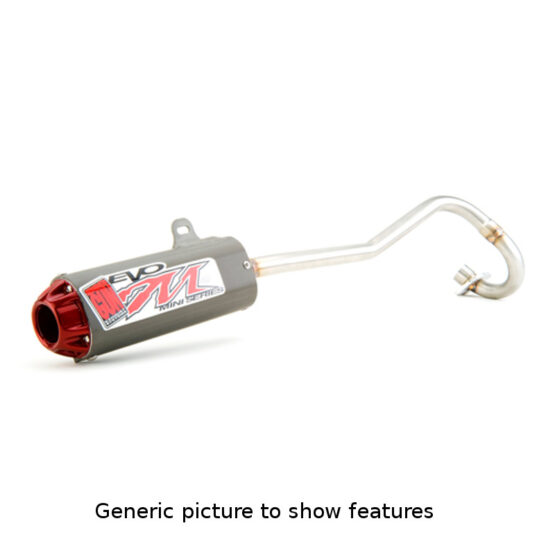 Big Gun Mini EVO M Full Exhaust Fits 02-08 Yamaha Raptor 80