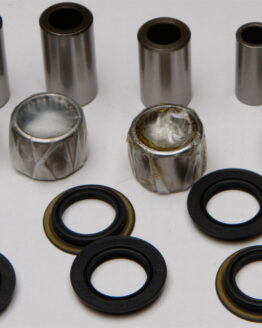 Swing Arm Linkage Bearing & Seal Kit