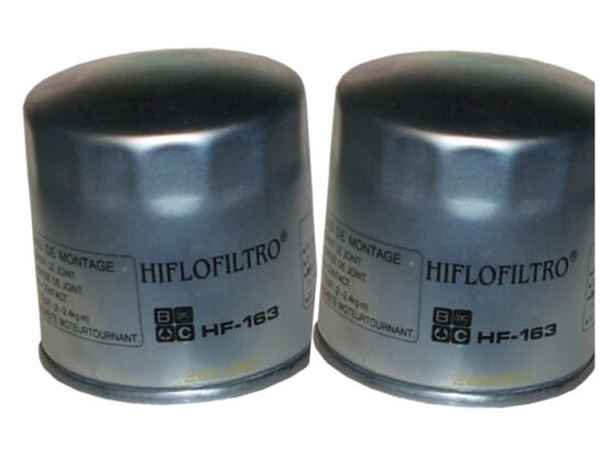 HF163 Oil Filter - 2 Pack